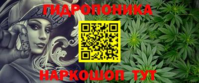 прущие крисы Кунгур