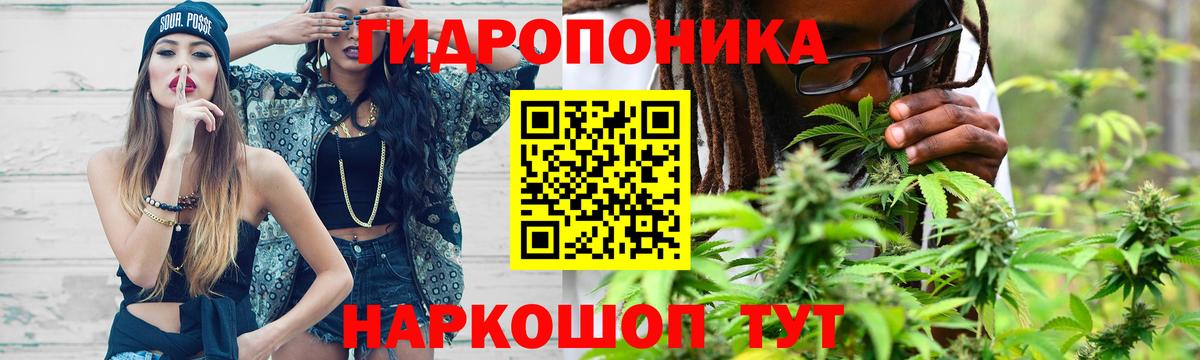 Каннабис план  Бошки марихуана Amnesia  Вход с VPN  Шишки марихуана AK-47  Алапаевск 